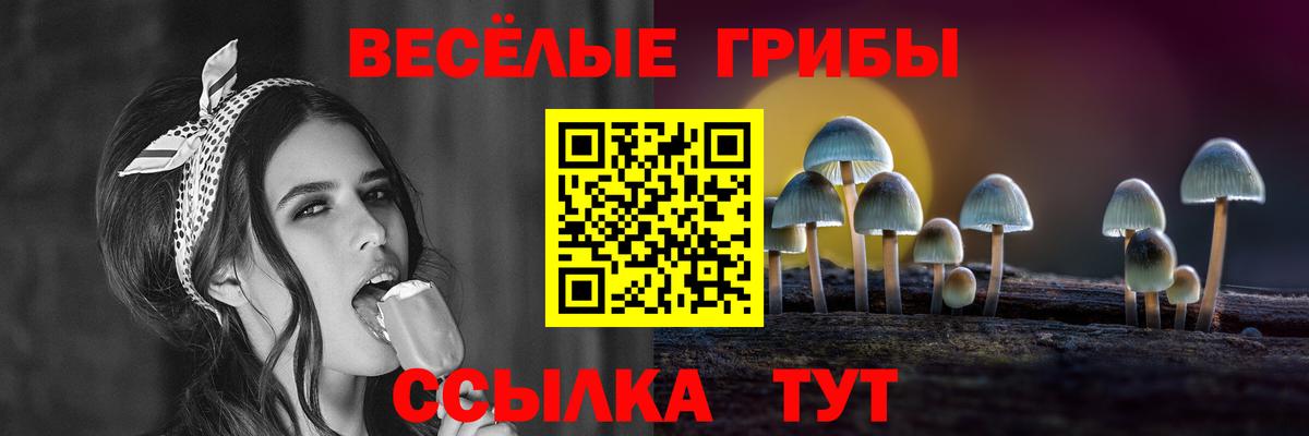 Ликино-Дулёво  Псилоцибиновые грибы Psilocybine cubensis  Вход с VPN  Псилоцибиновые грибы прущие грибы 